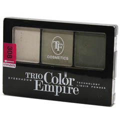 ТF Тени CTE-22 трехцветные тон 308 оливковое золото