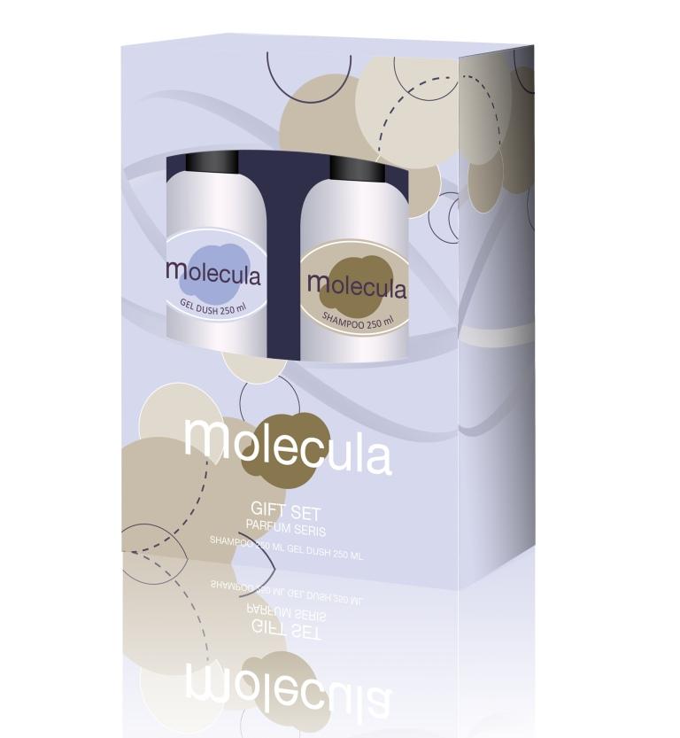 ФЕСТИВА ПН MOLECULA женский (Шампунь 250+Гель д/душа 250)