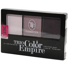 ТF Тени CTE-22 трехцветные тон 307 аметистовый