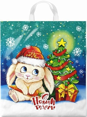 Пакет с петлевой ручкой 38*42+6 E5717 НГ Лапочка