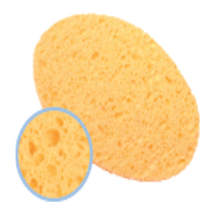 СТТ02 ТF Спонж д/умывания (1шт) 