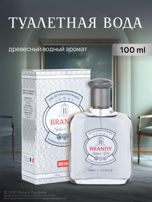BRANDY Silver VS  туал.вода муж.100мл